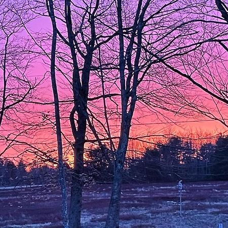 Jefferson Blueberry Fields Bed & Breakfast المظهر الخارجي الصورة