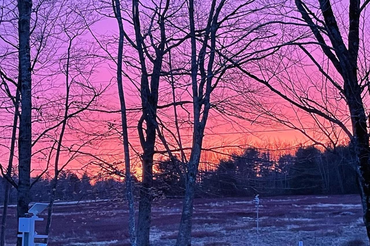 Jefferson Blueberry Fields Bed & Breakfast المظهر الخارجي الصورة