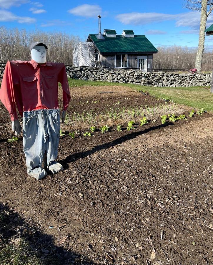 Jefferson Blueberry Fields Bed & Breakfast المظهر الخارجي الصورة