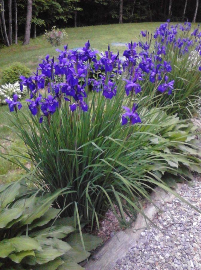 Jefferson Blueberry Fields Bed & Breakfast المظهر الخارجي الصورة