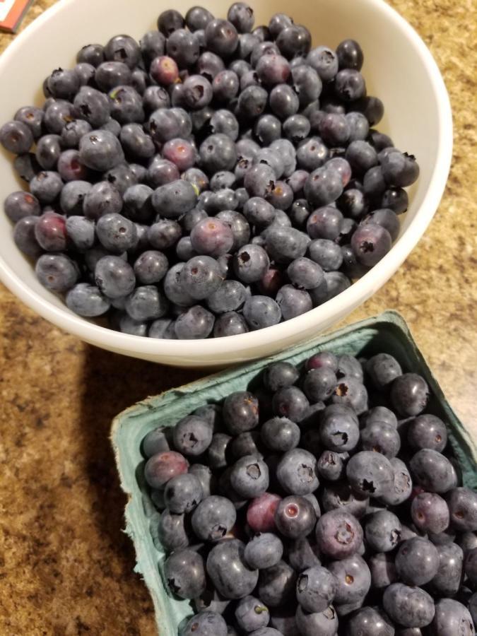 Jefferson Blueberry Fields Bed & Breakfast المظهر الخارجي الصورة