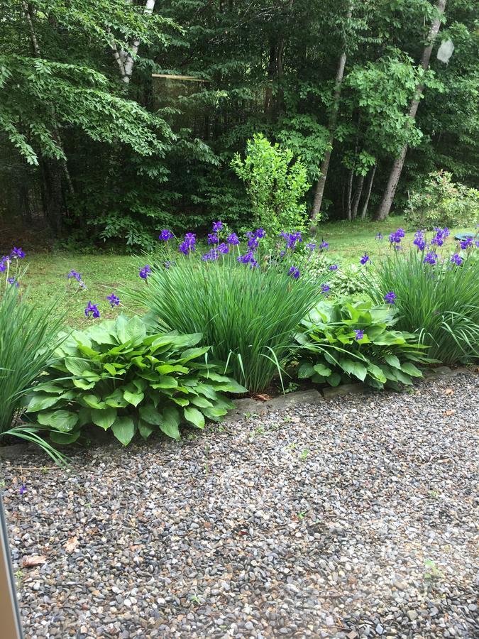 Jefferson Blueberry Fields Bed & Breakfast المظهر الخارجي الصورة